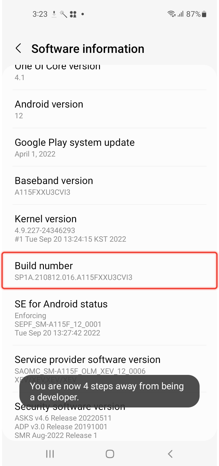Taping on Build Number inside Software Information 7 times