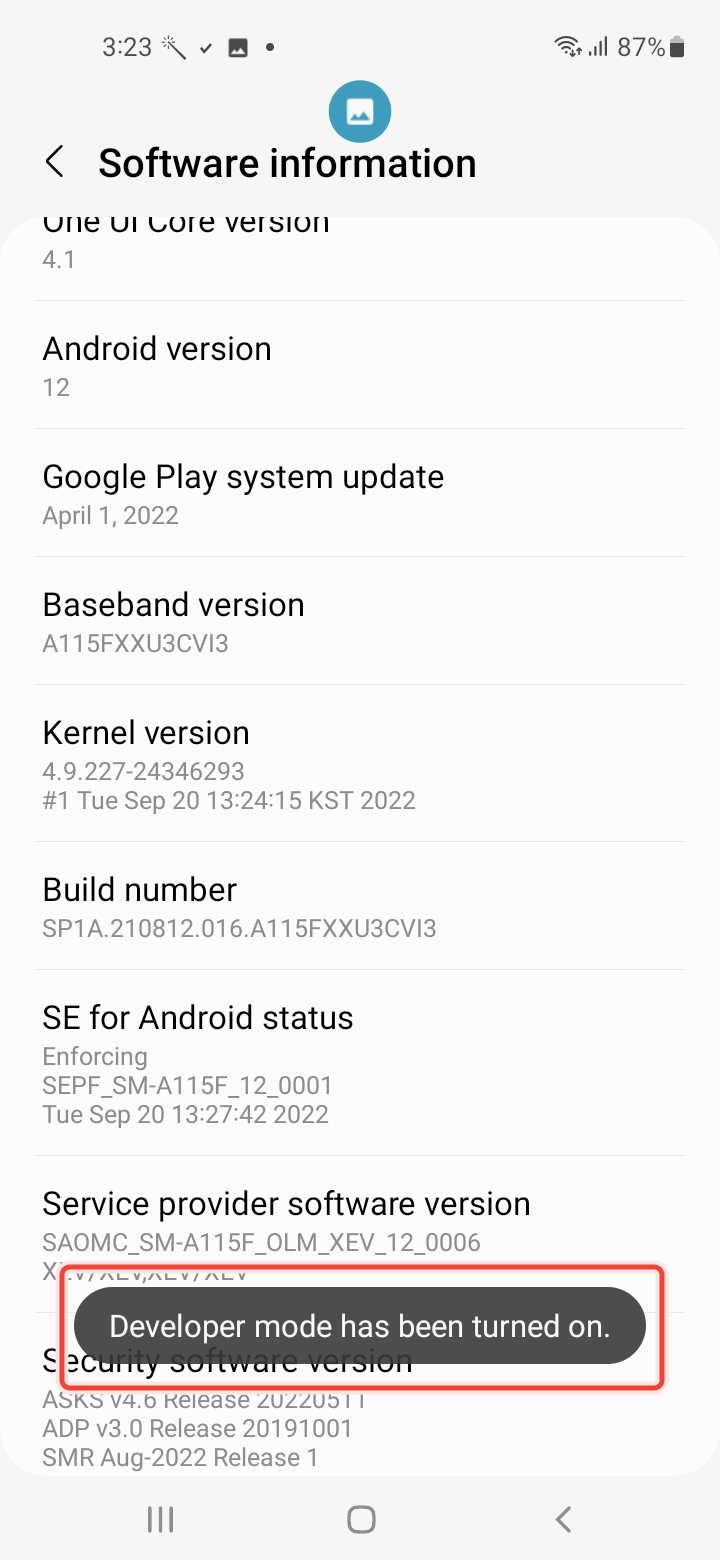 Notification that the Developer Mode has been turned on
