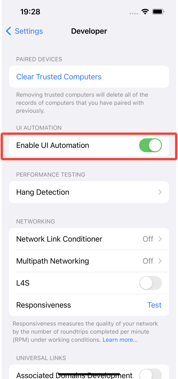 The Enable UI Automation switched on under Developer