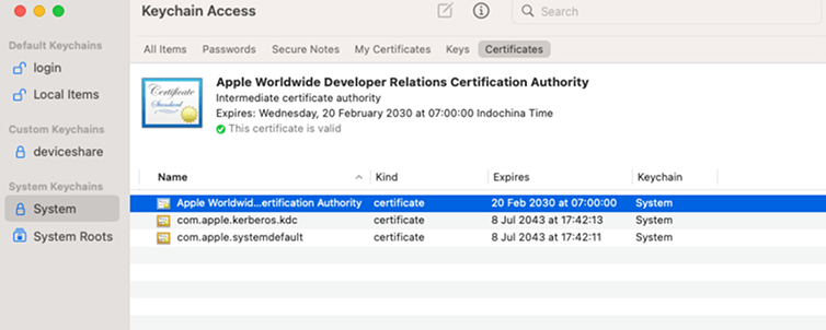 The Apple Worldwide Developer Relation certificate inside the System keychain