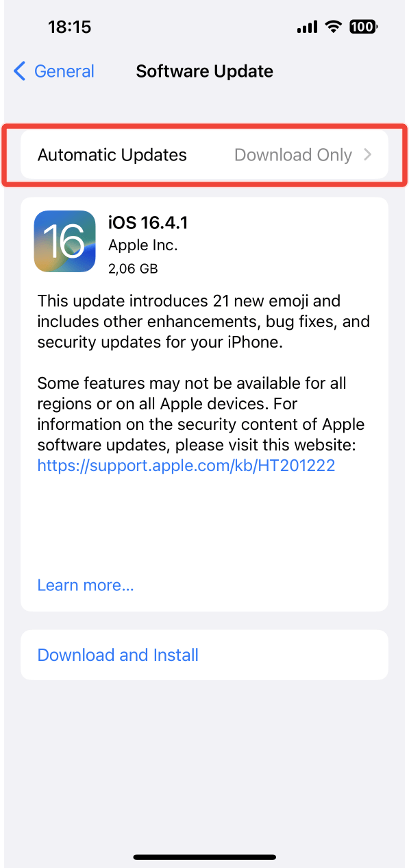 The Software Update screen with the Automatic Updates option