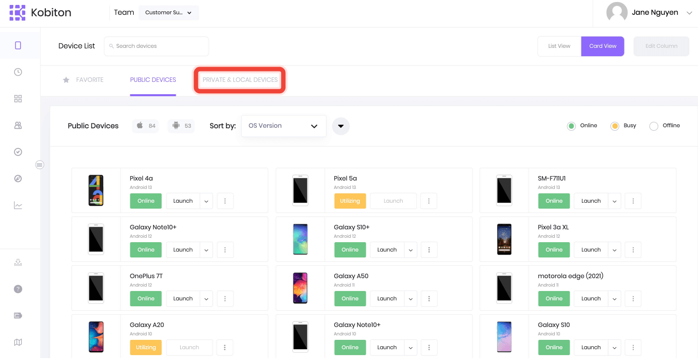 Select Private & Local Devices tab