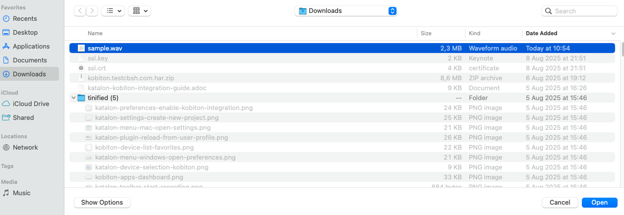Finder window highlighting a selected WAV file ready for injection