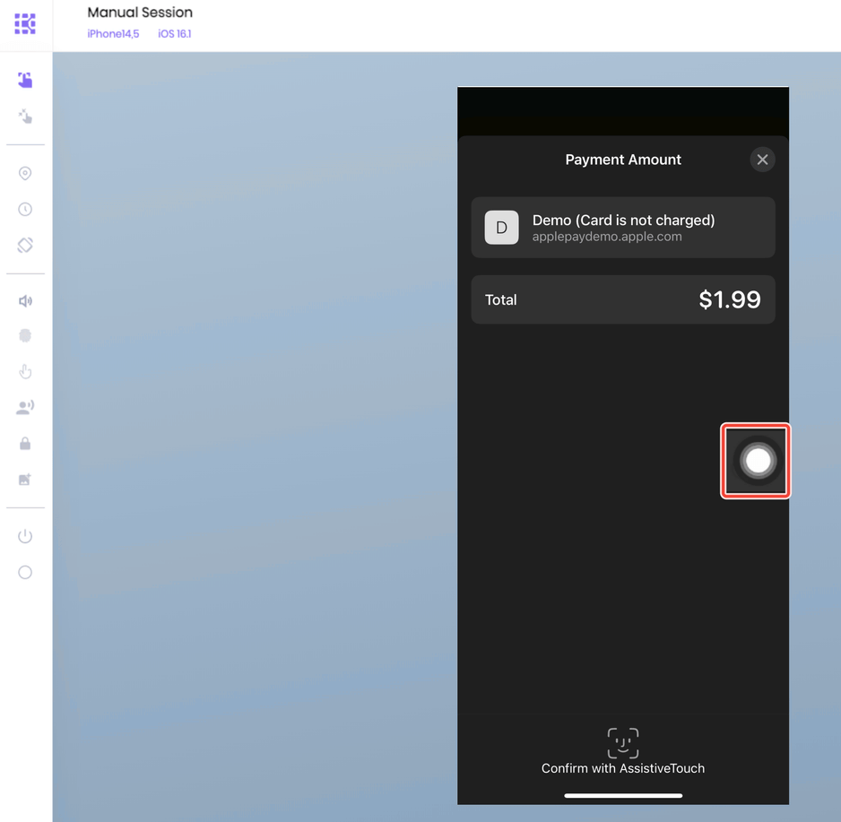 The Payment screen with the Assistive touch icon