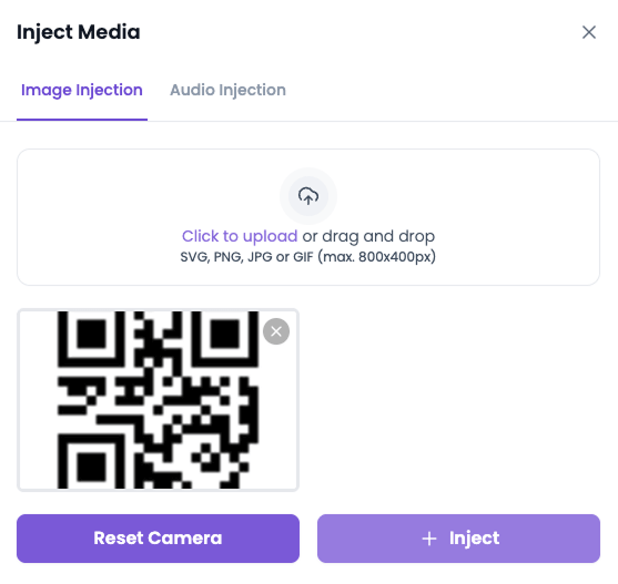 The image injection menu after injecting an image, with Reset Camera visible.