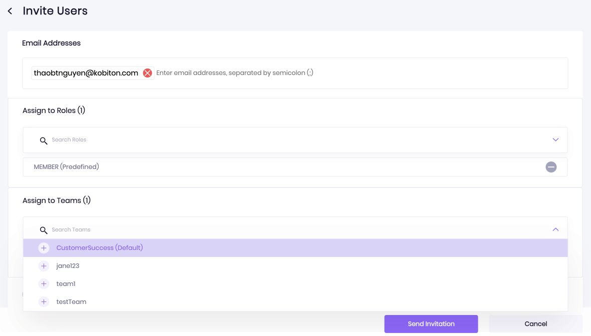 Enter a user’s email address, then assign to a role or team you created.