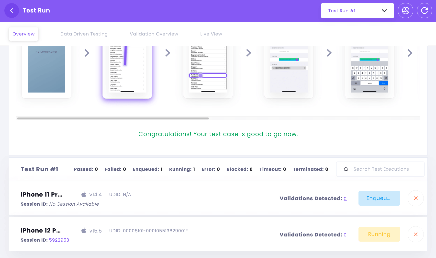 The test run view