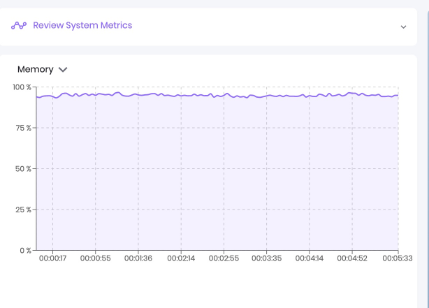 A closeup to Memory section of Review System Metrics