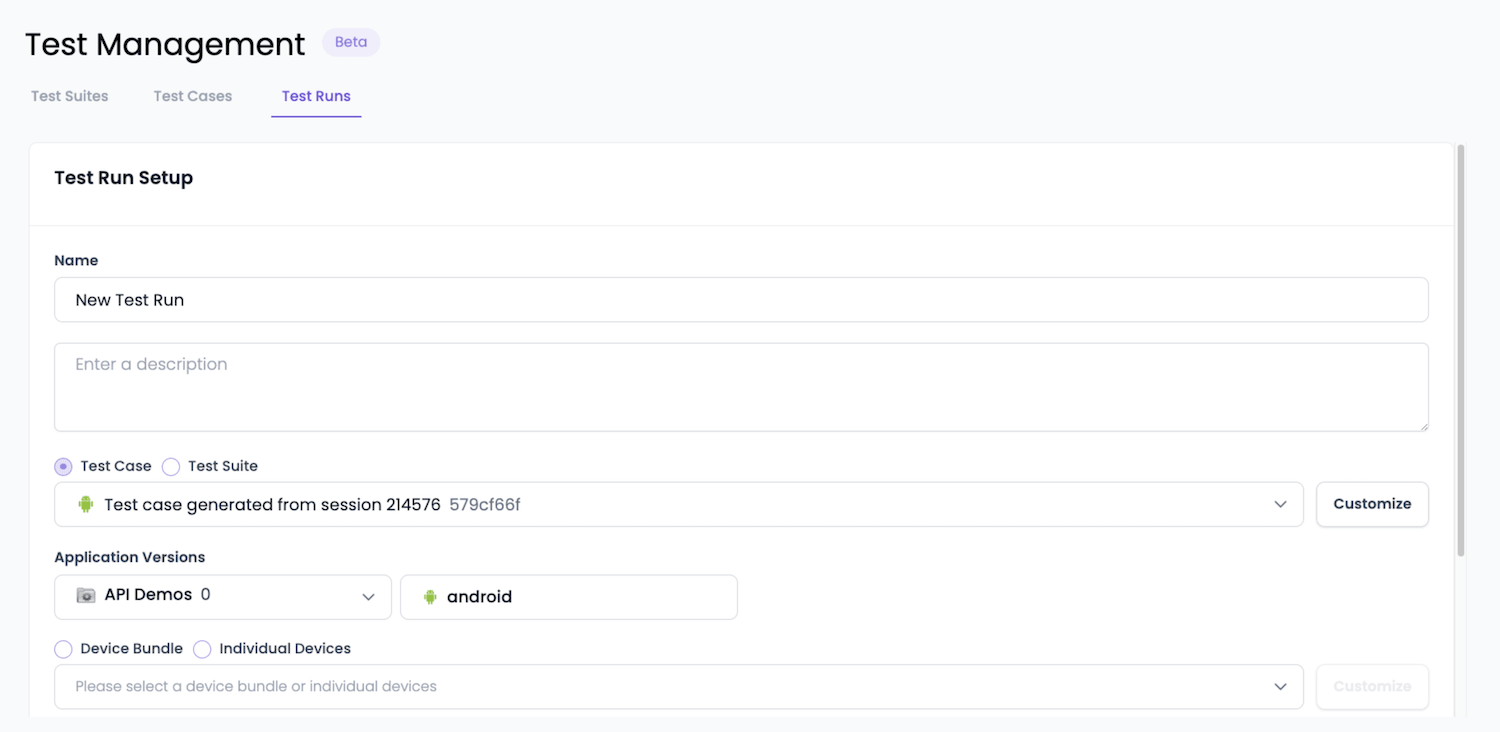 Run Setup screen with all configuration fields visible